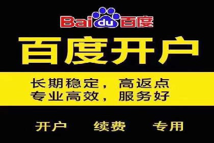 精准投放，高效转化：关键词竞价排名案例解析